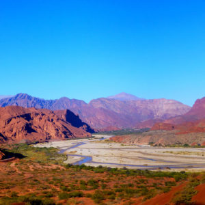 Ruta del Vino / 4 Bodegas